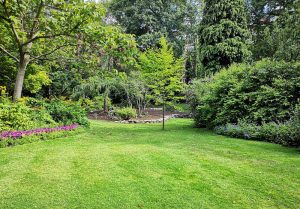 Optimiser l'expérience du jardin à Trois-Fontaines-l'Abbaye